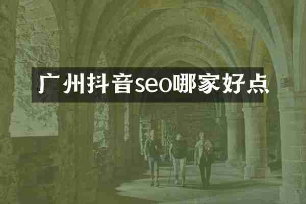 广州抖音seo哪家好点