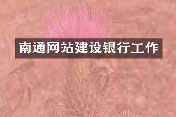 南通网站建设银行工作