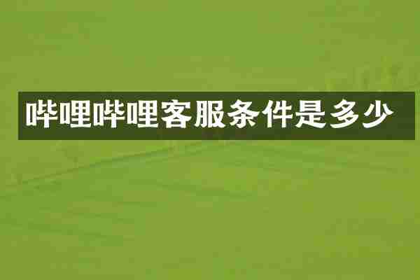 哔哩哔哩客服条件是多少