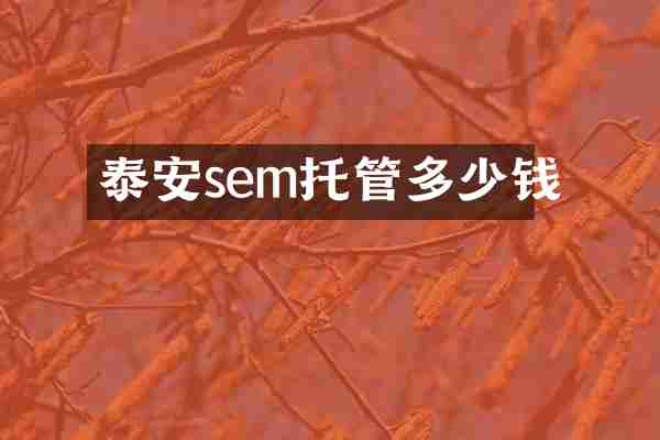 泰安sem托管多少钱