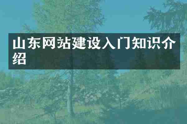 山东网站建设入门知识介绍