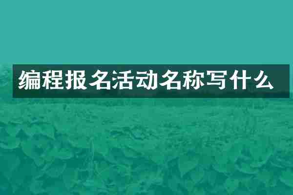 编程报名活动名称写什么