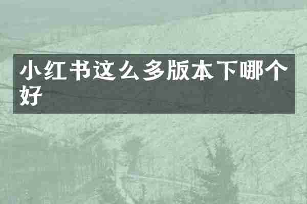 小红书这么多版本下哪个好