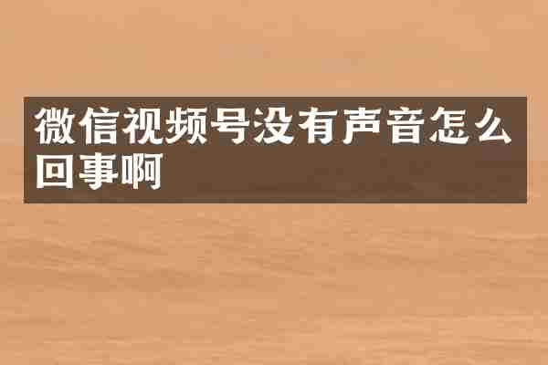 微信视频号没有声音怎么回事啊