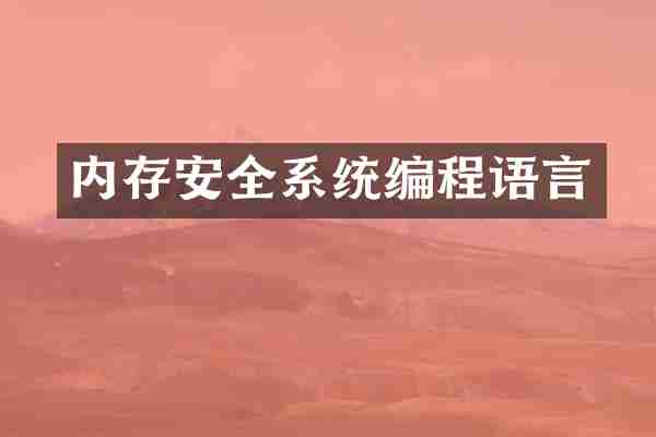 内存安全系统编程语言