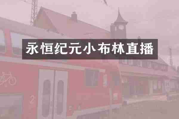 永恒纪元小布林直播