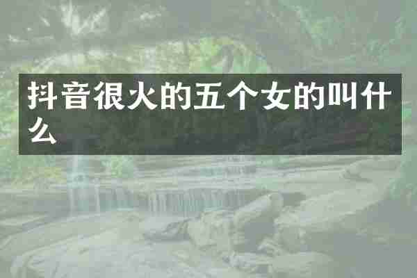 抖音很火的五个女的叫什么