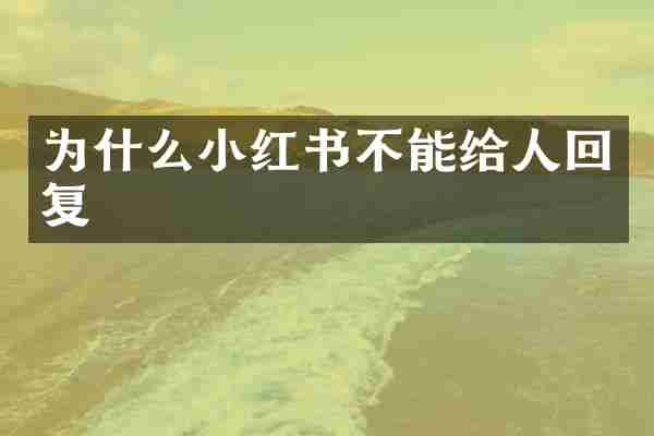 为什么小红书不能给人回复