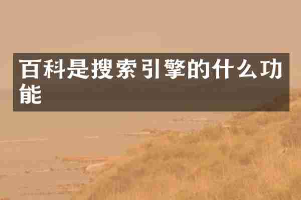 百科是搜索引擎的什么功能