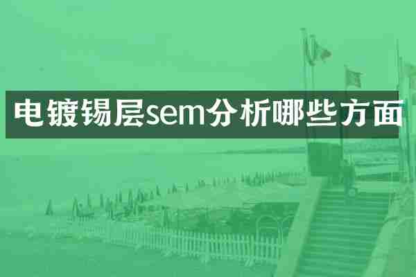 电镀锡层sem分析哪些方面