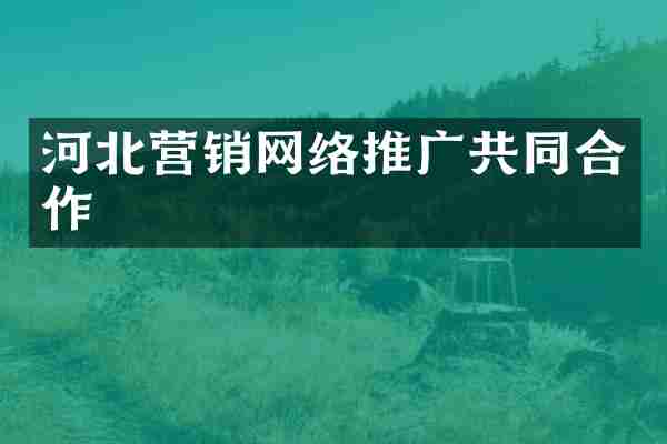 河北营销网络推广共同合作