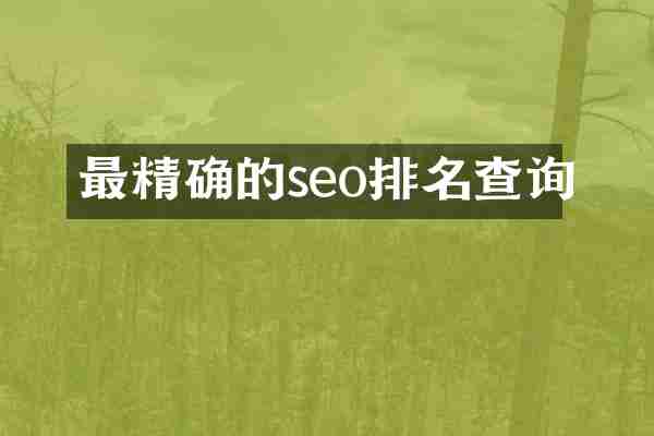 最精确的seo排名查询