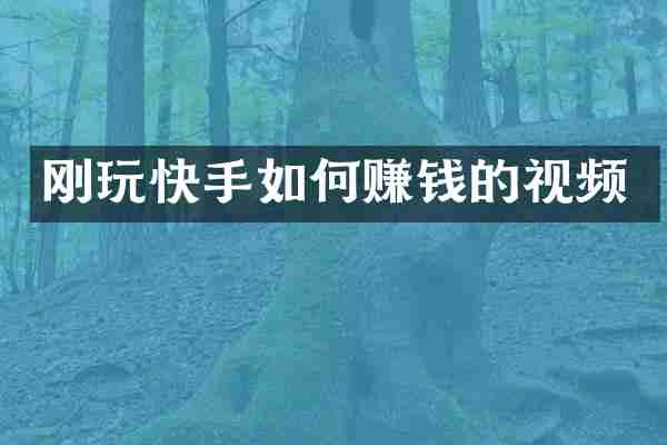 刚玩快手如何赚钱的视频