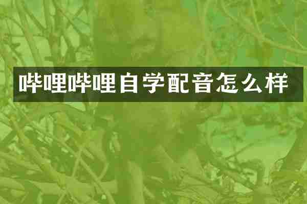 哔哩哔哩自学配音怎么样