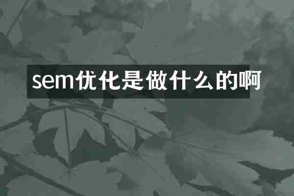 sem优化是做什么的啊