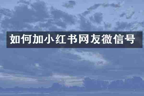 如何加小红书网友微信号