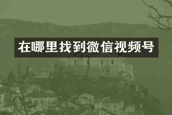 在哪里找到微信视频号