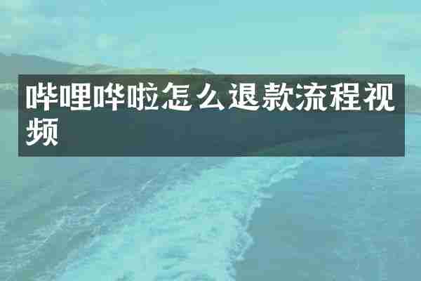 哔哩哗啦怎么退款流程视频