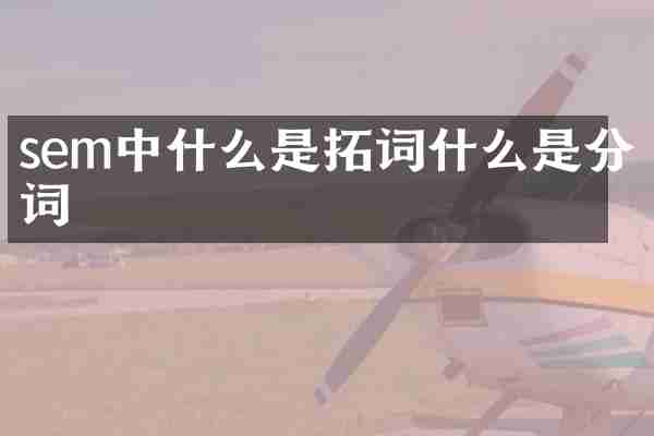 sem中什么是拓词什么是分词