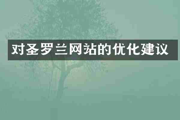 对圣罗兰网站的优化建议