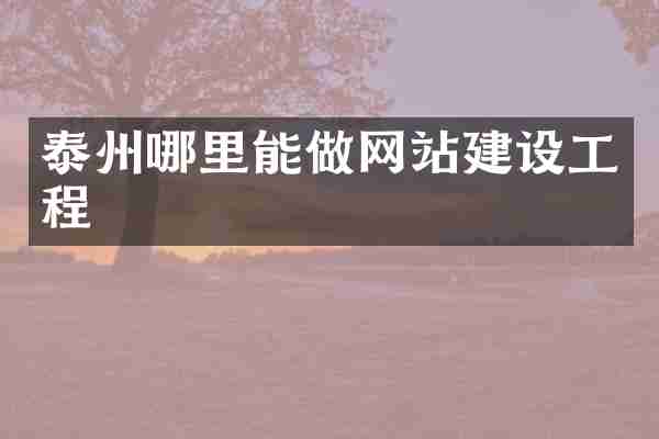 泰州哪里能做网站建设工程