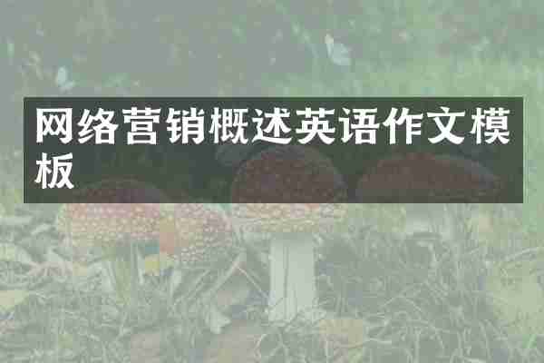 网络营销概述英语作文模板