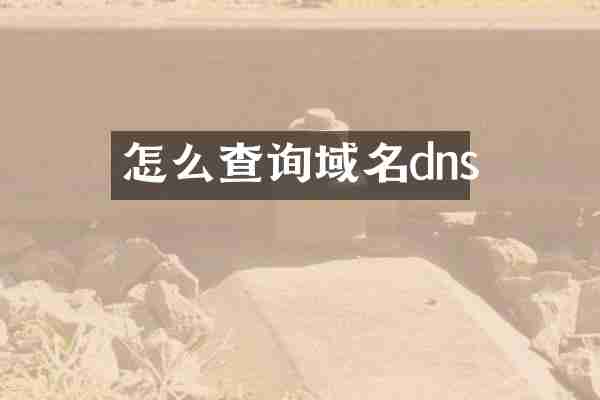 怎么查询域名dns