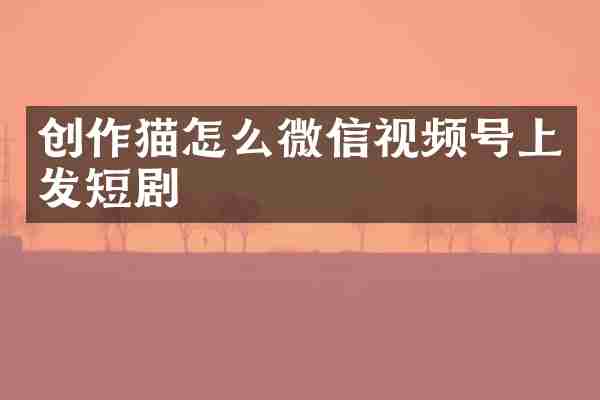 创作猫怎么微信视频号上发短剧