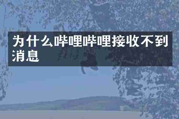 为什么哔哩哔哩接收不到消息