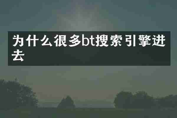 为什么很多bt搜索引擎进不去