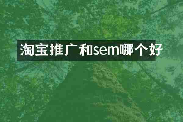 淘宝推广和sem哪个好