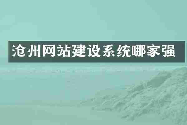 沧州网站建设系统哪家强