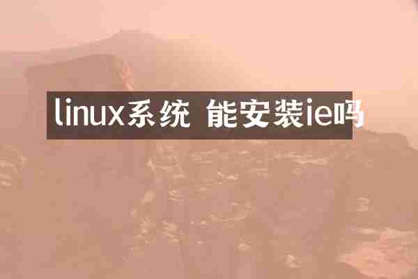 linux系统 能安装ie吗