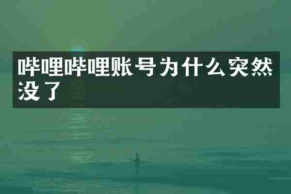 哔哩哔哩账号为什么突然没了