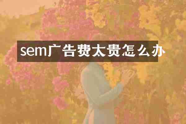 sem广告费太贵怎么办