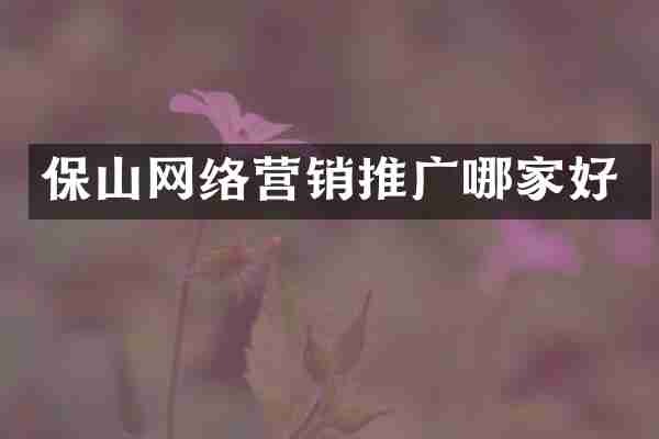 保山网络营销推广哪家好
