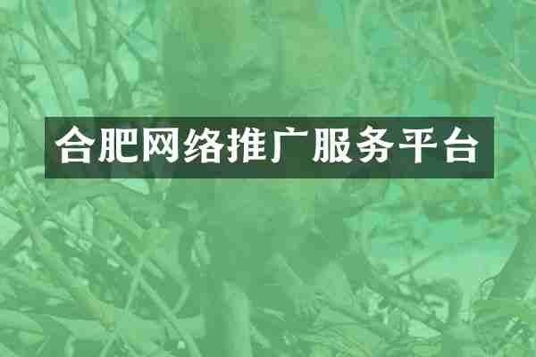合肥网络推广服务平台