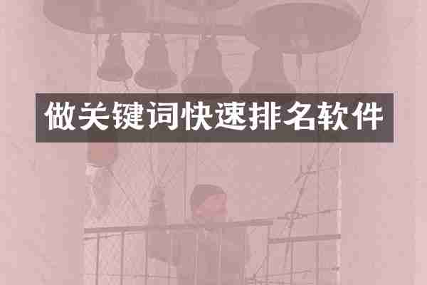 做关键词快速排名软件
