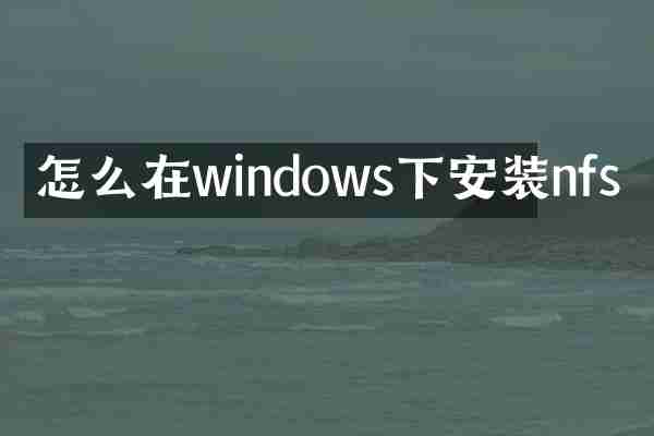 怎么在windows下安装nfs