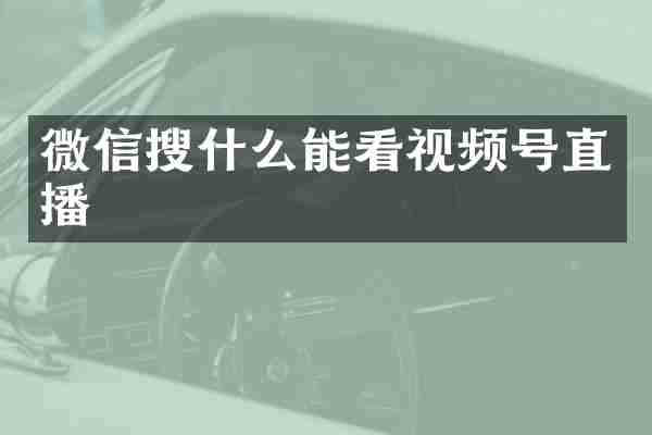 微信搜什么能看视频号直播