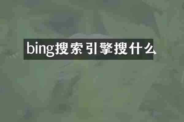 bing搜索引擎搜什么