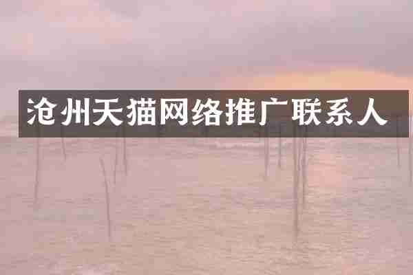 沧州天猫网络推广联系人