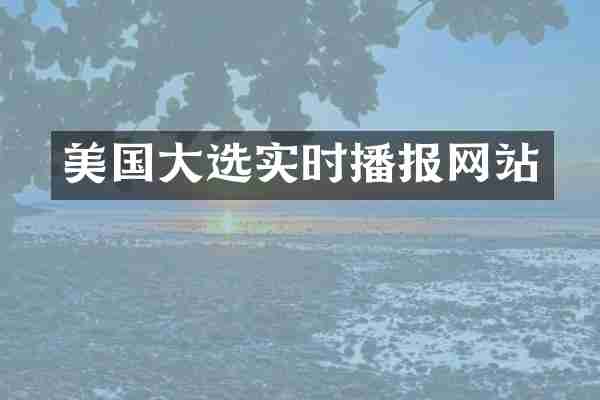 美国大选实时播报网站