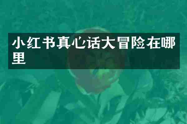 小红书真心话大冒险在哪里