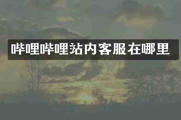 哔哩哔哩站内客服在哪里