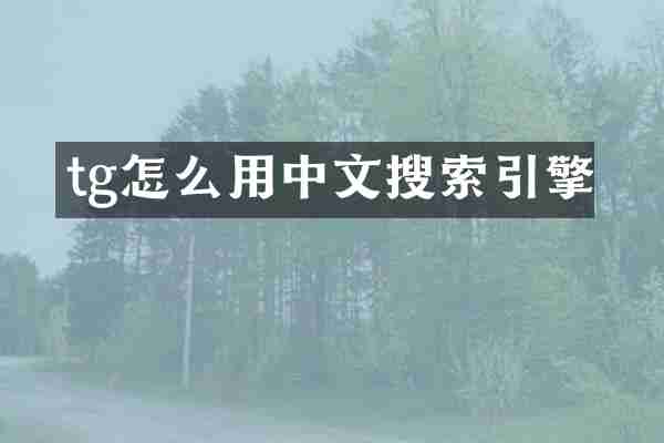 tg怎么用中文搜索引擎