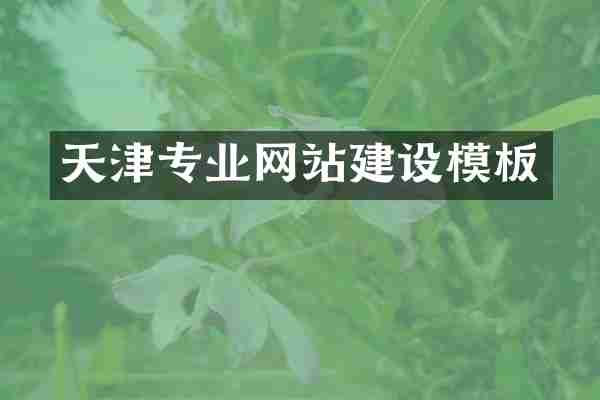 天津专业网站建设模板