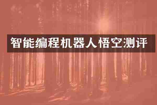 智能编程机器人悟空测评