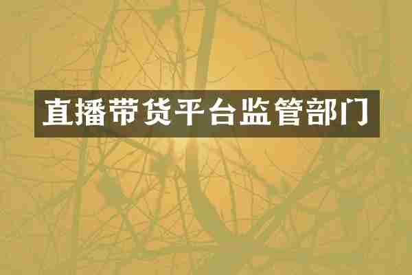 直播带货平台监管部门