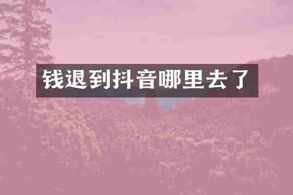 钱退到抖音哪里去了